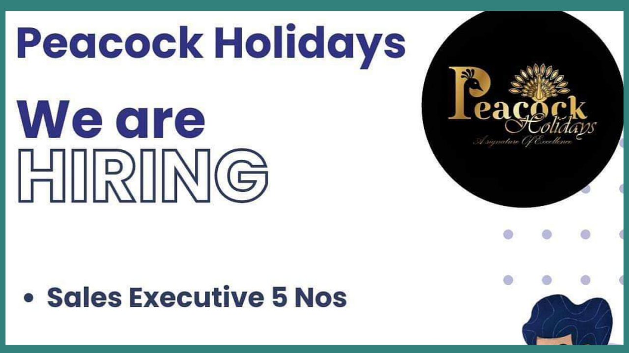 peacock holidays hiring sales executives